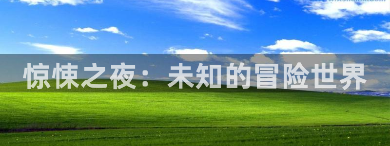 杏耀平台招商：惊悚之夜：未知的冒险世界