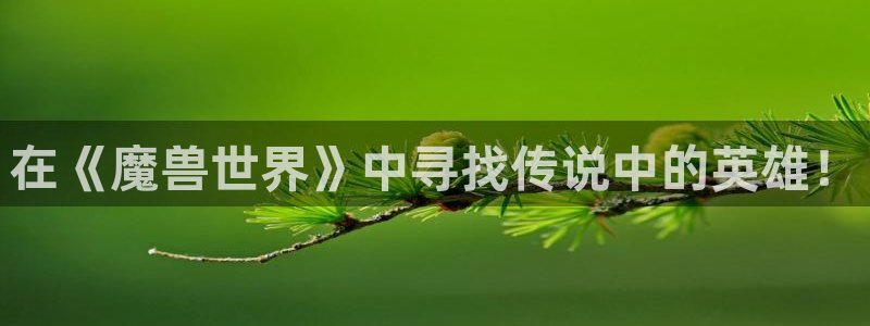 杏耀平台登录官网：在《魔兽世界》中寻找传说中的英雄！