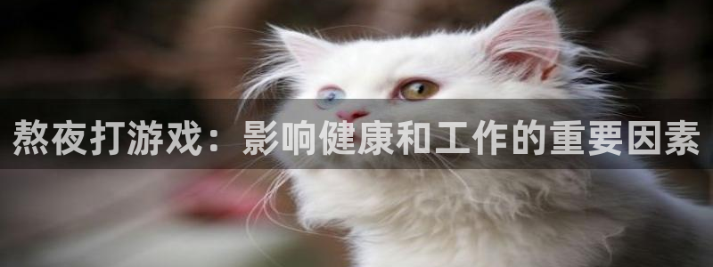 杏耀平台注册入口：熬夜打游戏：影响健康和工作的重要因素