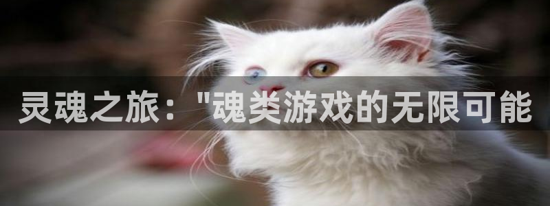 杏耀代理公司官网