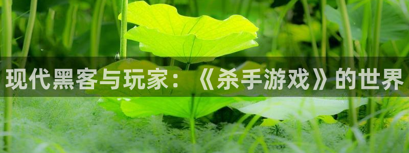 杏耀平台官方网站：现代黑客与玩家：《杀手游戏》的世界