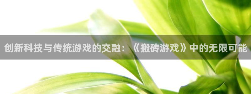 杏耀平台注册登录地址：创新科技与传统游戏的交融：《搬砖游戏》
