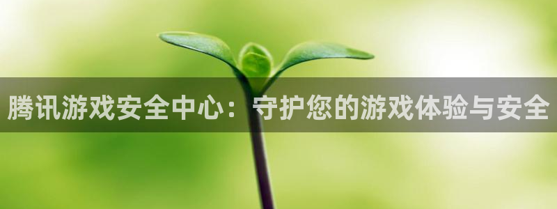 杏耀测速登录地址是什么