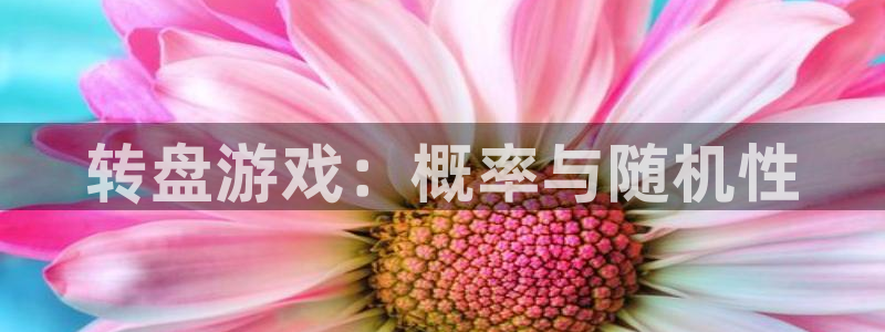杏耀代理官网：转盘游戏：概率与随机性