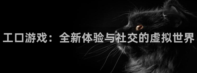 杏耀平台手机登录：工口游戏：全新体验与社交的虚拟世界