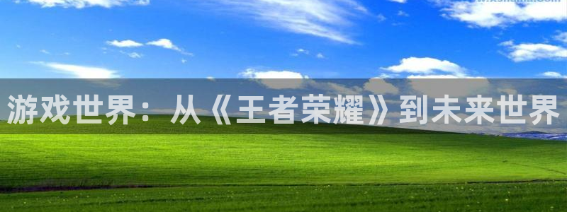 杏耀测速登录网：游戏世界：从《王者荣耀》到未来世界